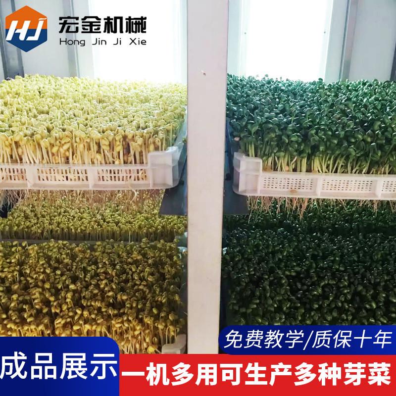 豆芽机生产线宏全自动现货创业金商用大型发豆芽智能豆芽机
