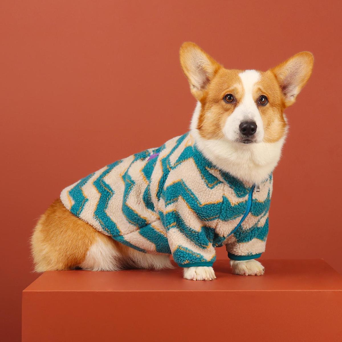柯基狗狗衣服秋冬新款柴犬中小型犬冬季保暖洋气加绒宠物棉衣外套