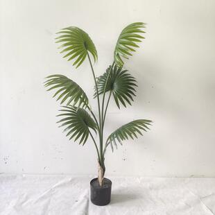 仿真植物软装装饰假绿植盆栽摆件扇加州蒲葵仿真葵棕榈树现货