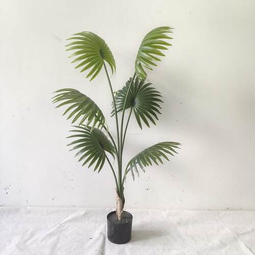 仿真植物软装装饰假绿植盆栽摆件仿真加州蒲葵扇葵棕榈树现货