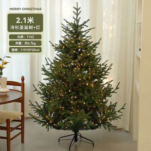 冷杉圣诞树圣诞节装饰仿真圣诞树发光加密pvc大型圣诞装饰树摆件