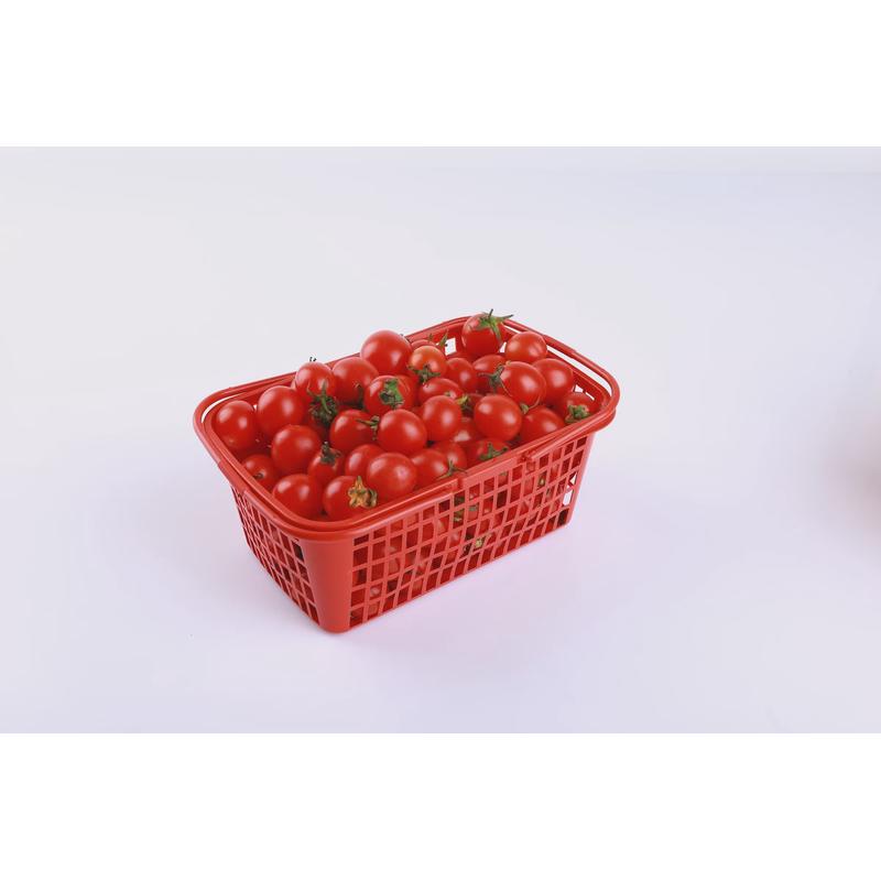 78N78N草莓篮采摘篮1斤-2斤-5斤塑料筐子手提水果篮镂空方形杨梅