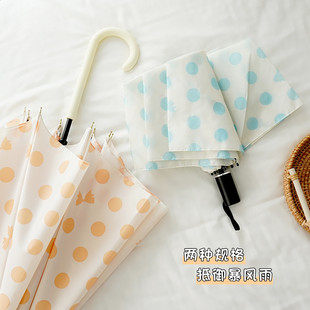 波点雨伞长柄伞双人加大加固直杆伞女高颜值半自动折叠伞抗风 法式