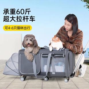 外出猫咪狗狗拉车 DODOPET大号宠物拉杆箱两厢大容量可携式