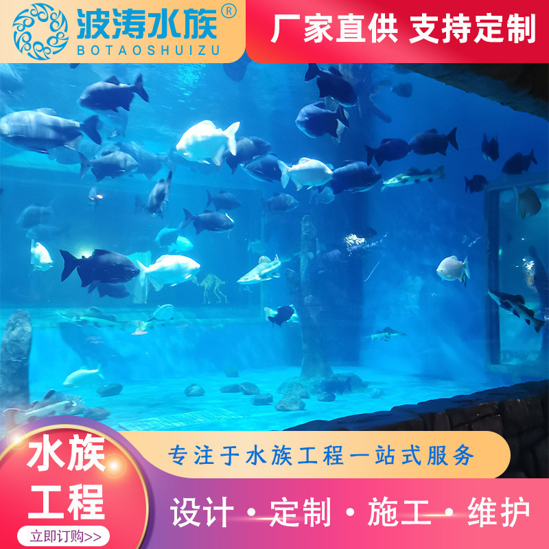 亚克力大型鱼缸上海厂家展示嵌入式生态景观水族箱展览设计鱼缸