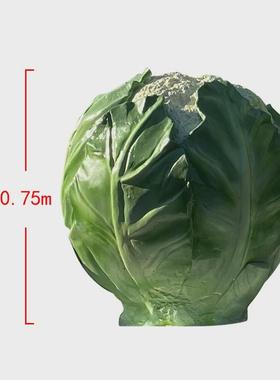 玻璃钢仿真树脂彩绘瓜果蔬菜雕塑白菜西蓝花萝卜农产品模型摆件