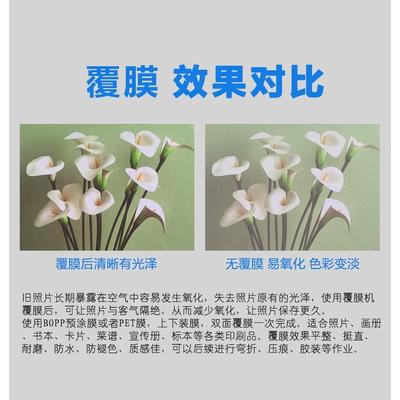 荣大覆膜机自动V350型腹膜机压膜过膜机复膜机冷热裱双用大A3