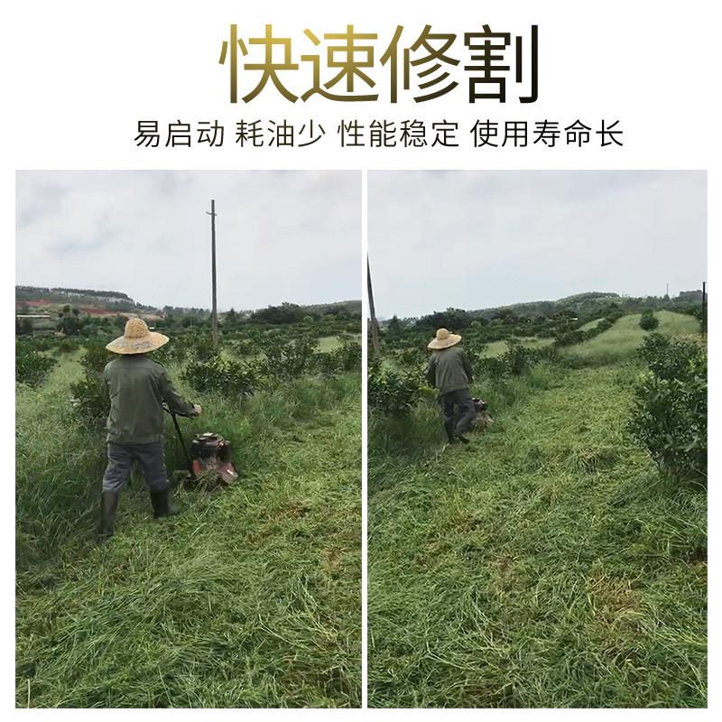 茶园力汽油割草机四轮手推自走剪草机碎草机除草机还田机果园定制