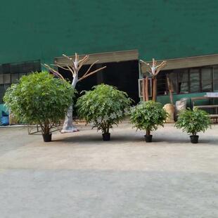 人造大型仿真植物过胶叶绿商场居家榕树餐厅摆放假树榕叶盆景