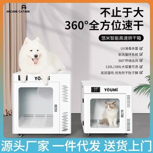 爆款宠物烘干箱狗狗吹毛烘干烘干型狗狗猫咪中大箱宠物店专用