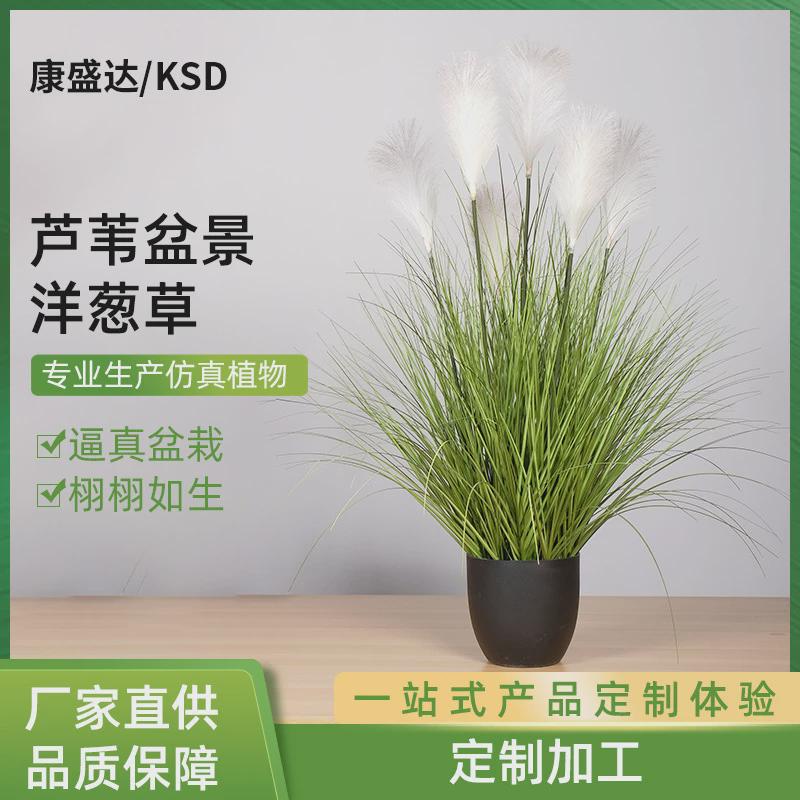 仿真盆栽植物芦苇盆景洋葱草仿真草假洋葱草芦苇草蒲草90/120CM