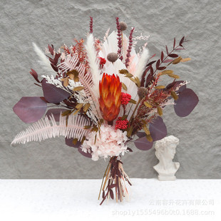 雪莲花干花花束蒲扇尤加利叶混搭红色高级感花瓶插真花家居成品