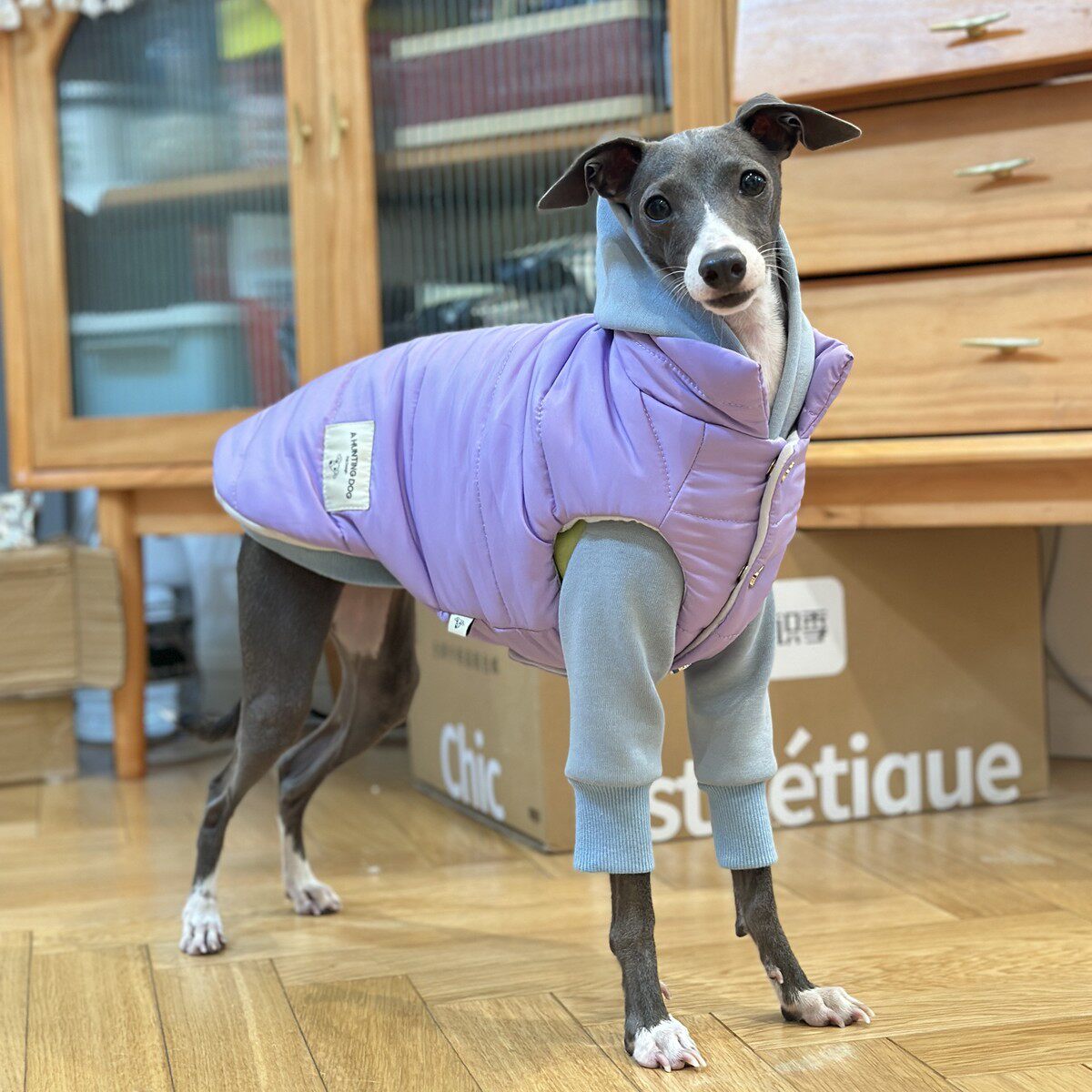 灵缇犬冬季厚款绗棉马甲厚实保暖性强灵缇惠比特衣服百搭