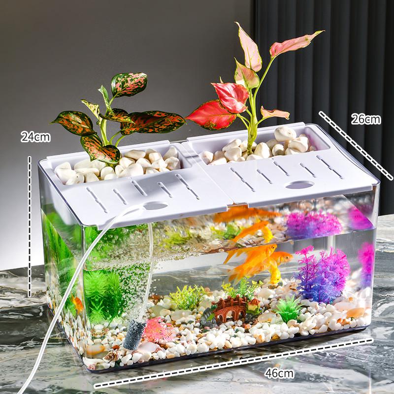 鱼缸水族箱塑料带盖生态缸金鱼缸透明小型桌面绿植乌龟缸鱼缸造景