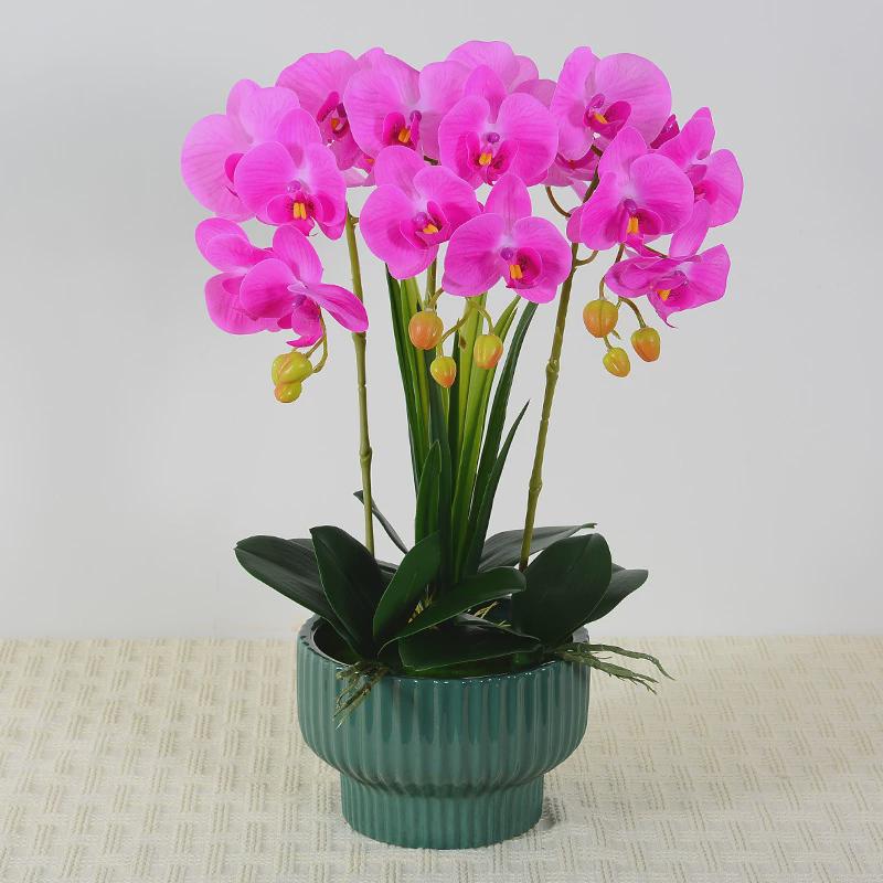 新款艺卉客厅电视柜假花蝴蝶兰仿真花盆景摆件餐桌面花装饰品摆设