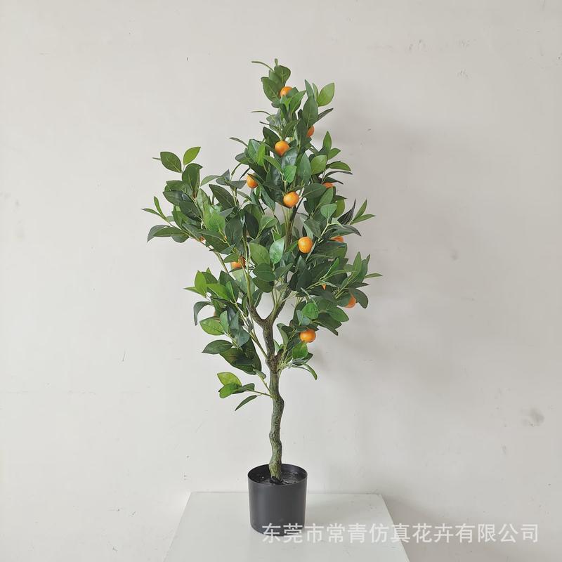 常青桔子树商场店铺软装装饰盆栽造景设计仿真加密款橘子树