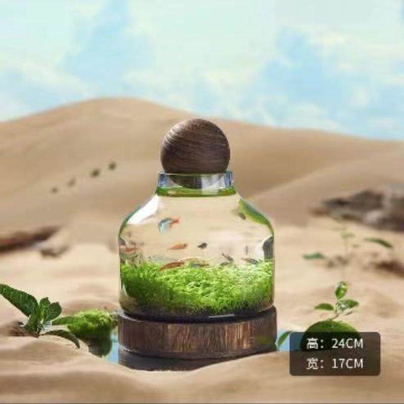 创意个性美式乡村带木球玻璃花瓶底部木器小清新水培植物插花花器