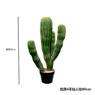 仿真仙人掌盆栽大型植物造景厂家直销仿真绿植小摆件组合仿真植物