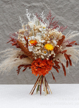 干花花束蒲扇小芦苇批发混搭橙色婚礼室内真花瓶插成品摆件绣球