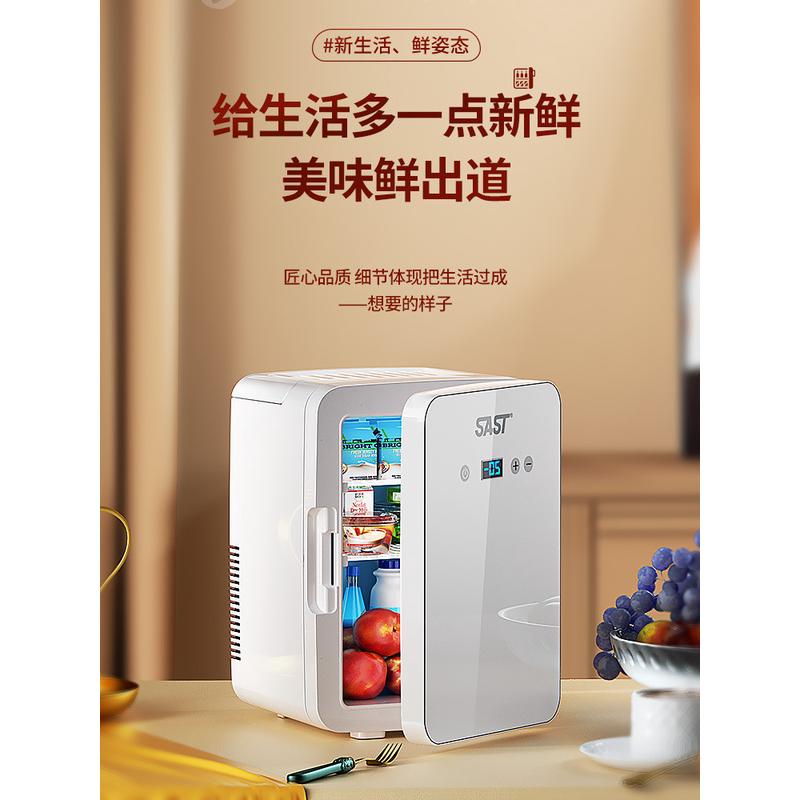 SAST迷你小冰箱冷冻冷藏出租房家用宿舍办公室母乳小型储车载冰柜
