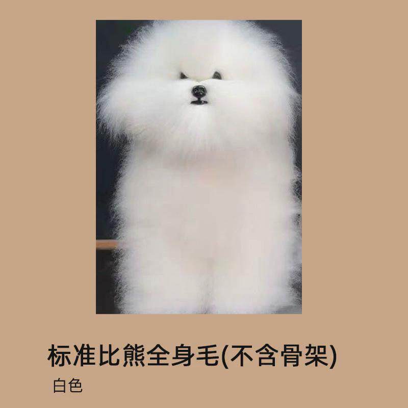 瑞宠仿真毛美容假狗模型宠物培训学校用狗标准骨架泰迪模特全身毛