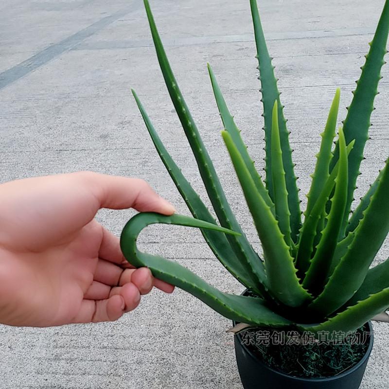 供应仿真芦荟办公室多肉植物盆栽pvc小绿植客厅人造假树翠叶