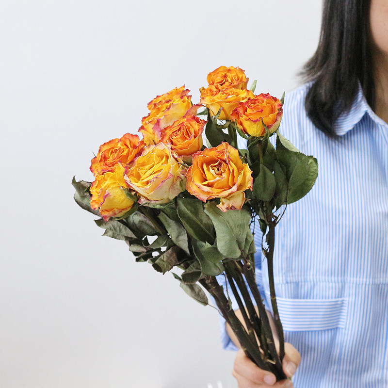 自然风干稀有玫瑰干花真花客厅装饰插花相框diy手工花材拍摄道具