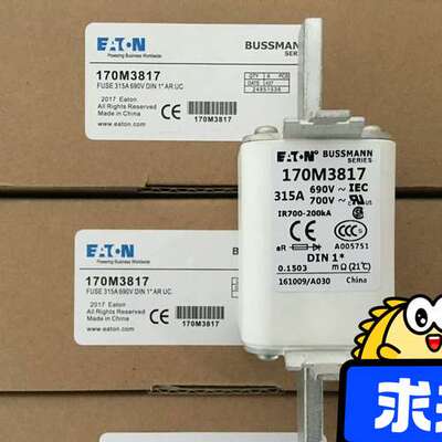 快速熔断器保险丝170M3621、170M3816、 170