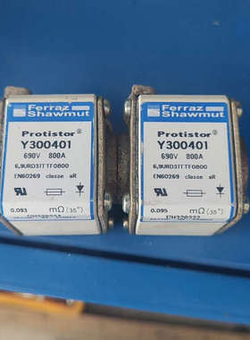 Y300401   800 A熔断器