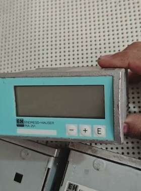 Endress+Hauser恩德斯豪斯 RIA 251