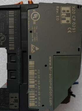 X20CP0291 / X20PS9500