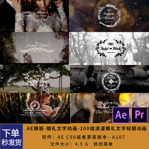 婚礼AE模板-100组浪漫婚礼文字标题动画工具包