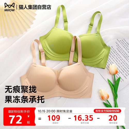 内衣女士小胸聚拢显大上托软支撑