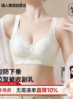 猫人内衣女聚拢小胸显大上托防下垂收副乳无钢圈调整型蕾丝文胸罩