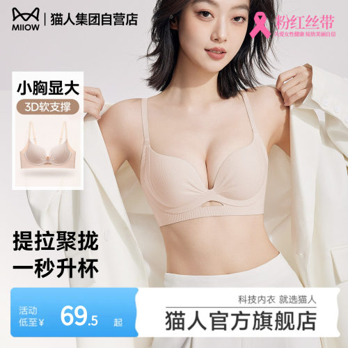 聚拢提拉小胸显大软支撑防下垂