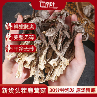 江南畔鹿茸菇干货鹿茸菌正品官方旗舰店新鲜煲汤蘑菇非特级野生菌
