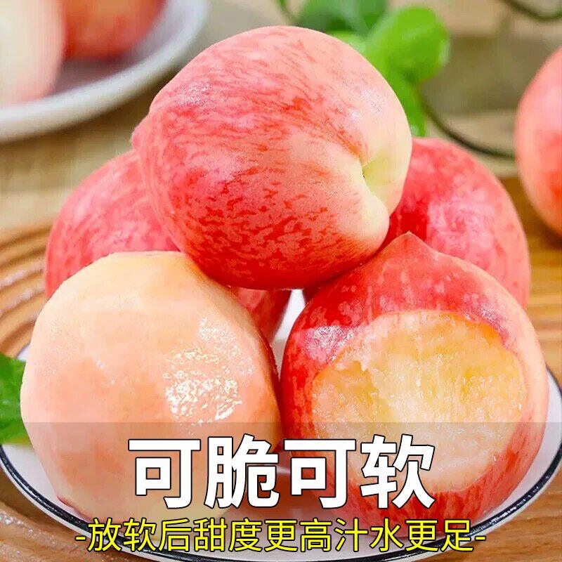 【顺丰包邮】上海水蜜桃礼盒装