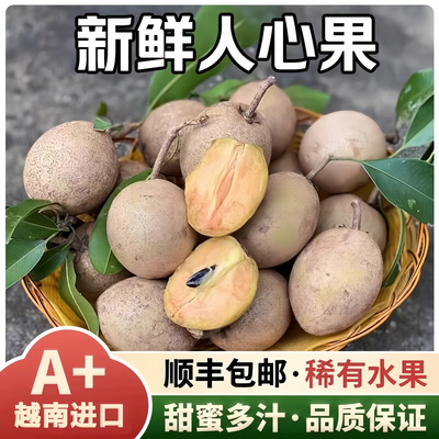 正宗越南人心果整箱顺丰包邮