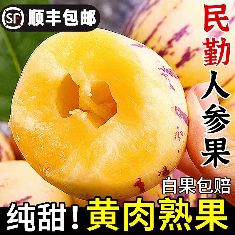 甘肃民勤沙漠人参果顺丰包邮