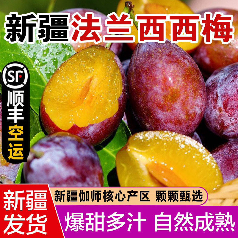 正宗新疆喀什伽师法兰西小西梅