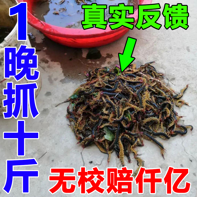 蜈蚣诱捕粉【万米蜈蚣来】蜈蚣活虫诱食剂诱捕饵料户外抓昆虫神器