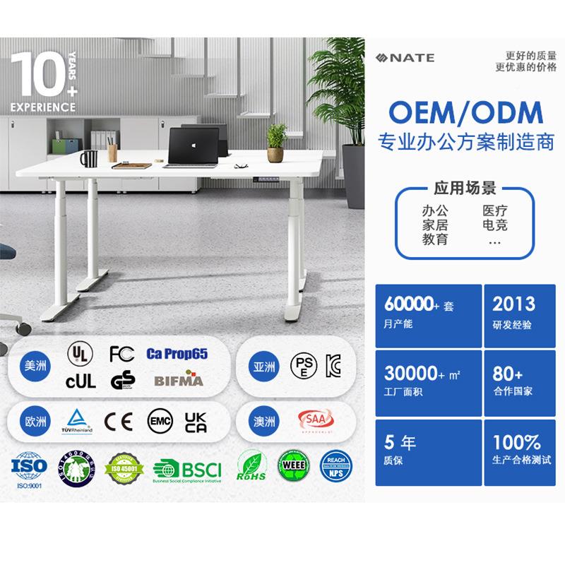 NAE电动升降桌腿电脑桌T四腿四电机办公桌工作台台式家用学习书桌