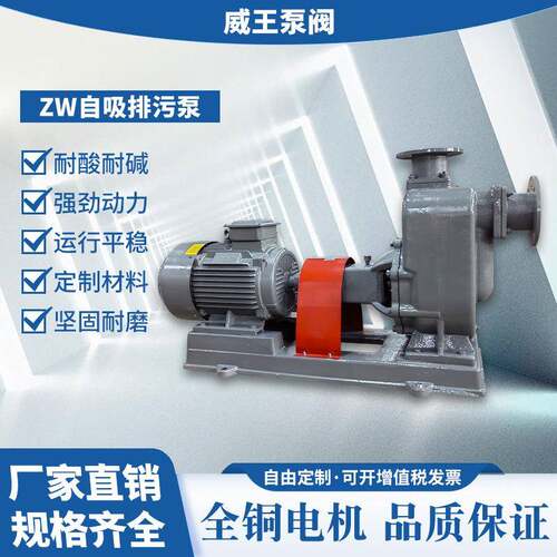 排污离心自吸泵Z封W-250钢422090-20，不锈304机械密自吸泵