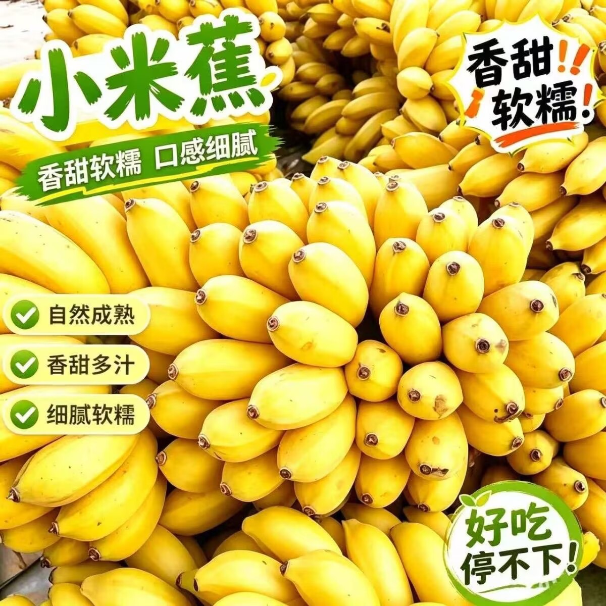 广西小米蕉当季新鲜水果