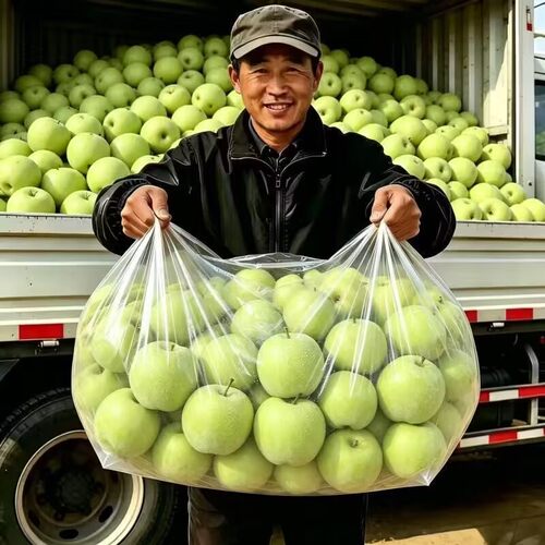 山西新鲜青苹果水果整箱斤