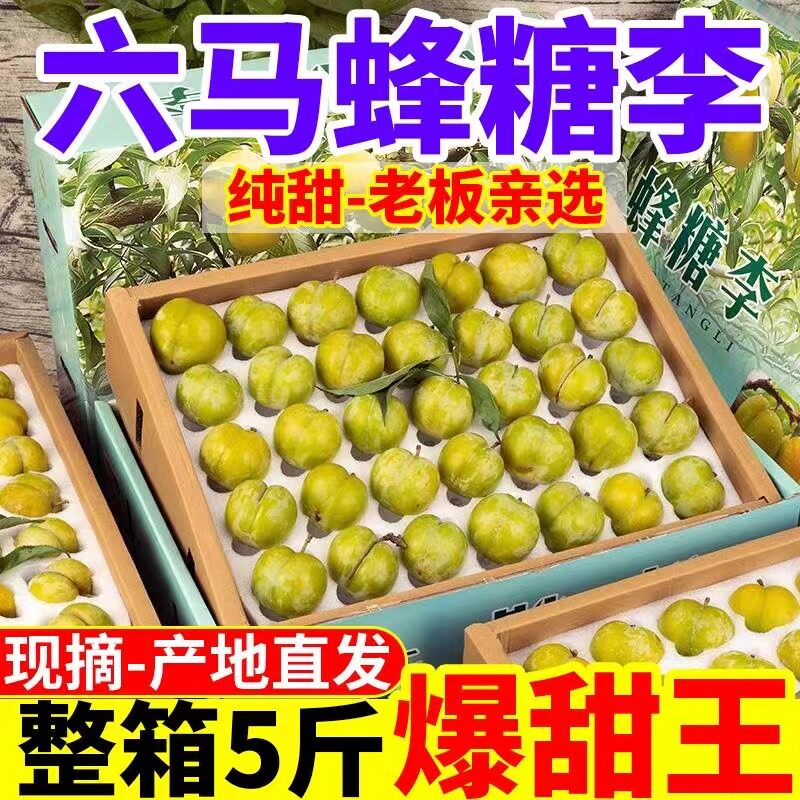 正宗贵州六马蜂糖李脱骨李