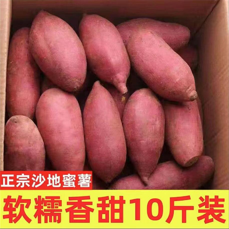 农家烟薯25号正宗糖心烤红薯