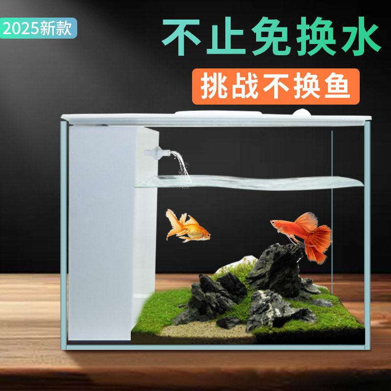 USB新款生态缸金晶玻璃桌面小鱼缸斗鱼缸免换水办公室小型家用缸