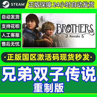 Steam 兄弟双子传说 重制版 国区激活码CDKEY 正版PC游戏