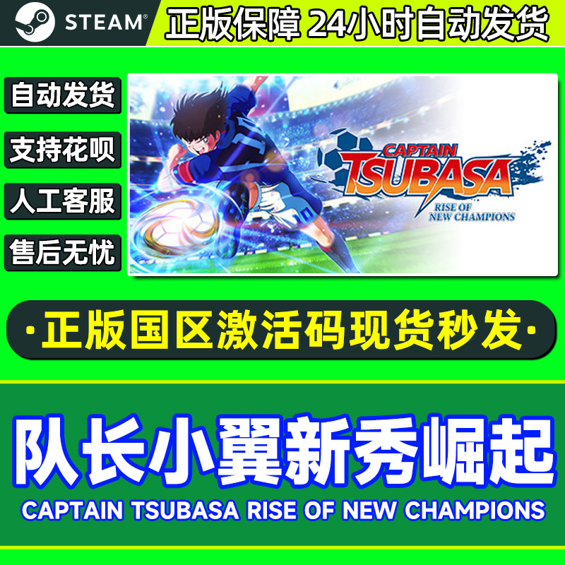 Steam队长小翼新秀崛起激活码